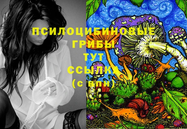 ГАЛЛЮЦИНОГЕННЫЕ ГРИБЫ Красноперекопск