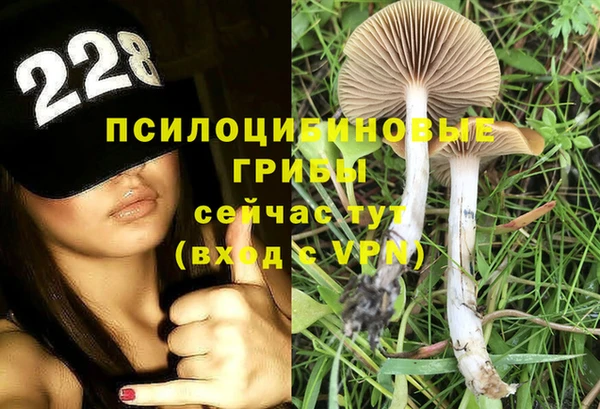 ГАЛЛЮЦИНОГЕННЫЕ ГРИБЫ Красноперекопск