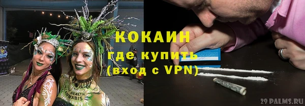 винт Краснослободск