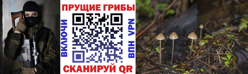 Купить закладки  Удомля  Галлюциногенные грибы MAGIC MUSHROOMS 